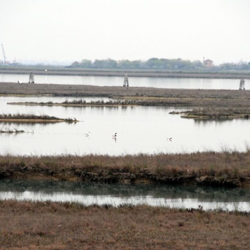 CORILA – CONSORZIO PER IL COORDINAMENTO DELLE RICERCHE INERENTI AL SISTEMA LAGUNARE DI VENEZIA